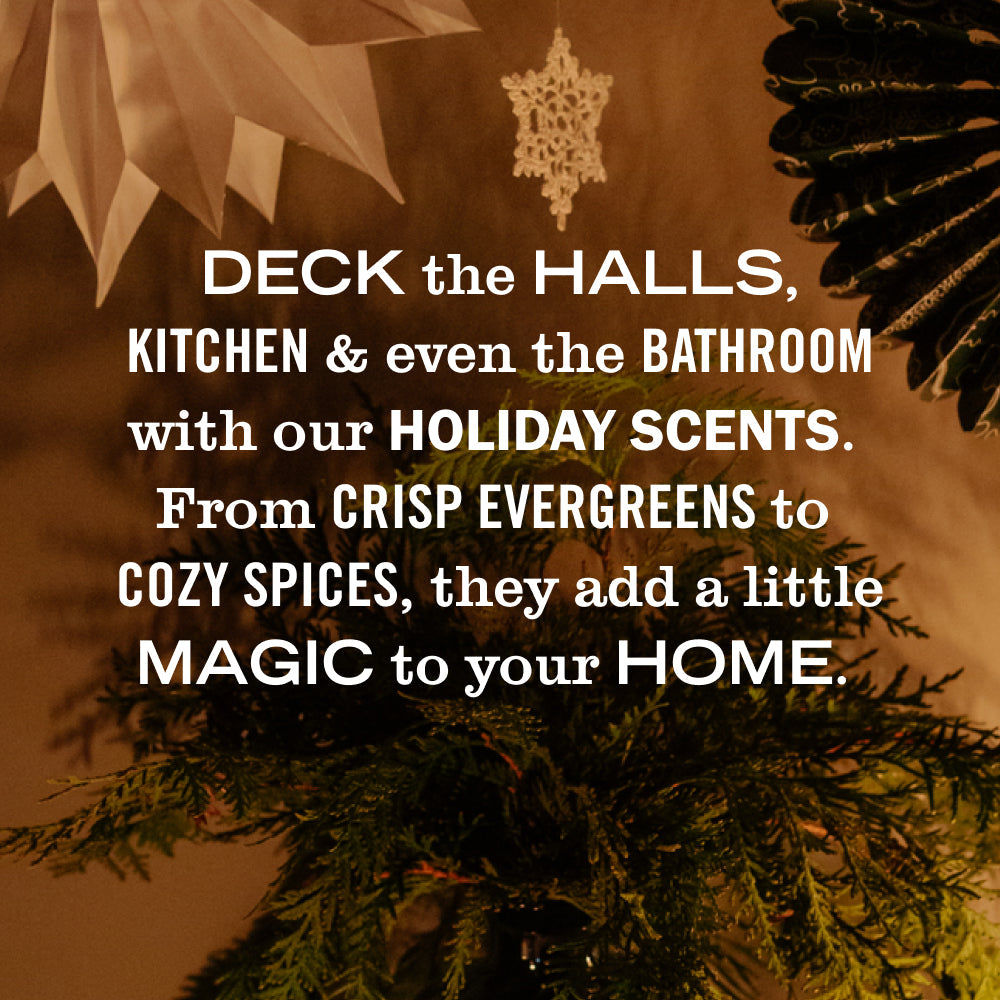 Mrs. Meyer's Holiday Seasonal Hand Soap Home Care Collection