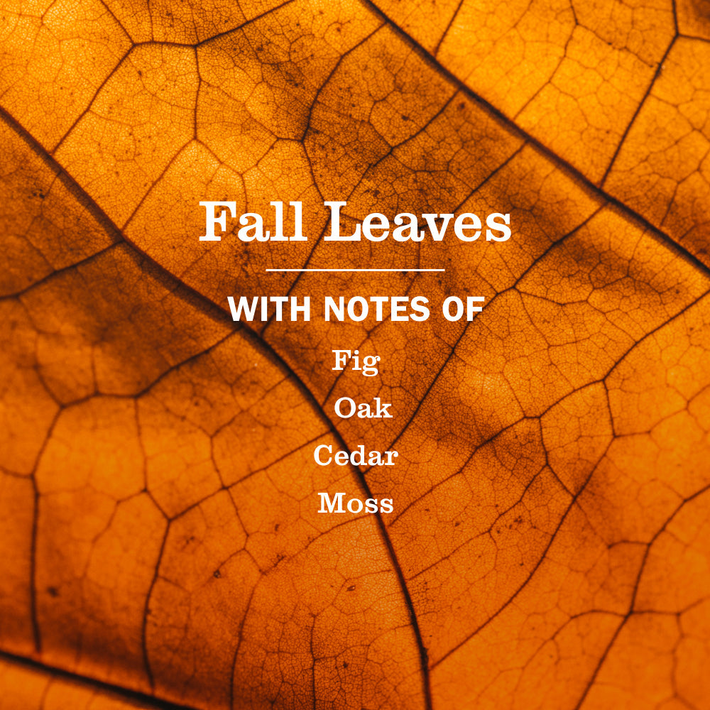 Mrs. Meyer's Fall Leaves Liquid Dish Soap