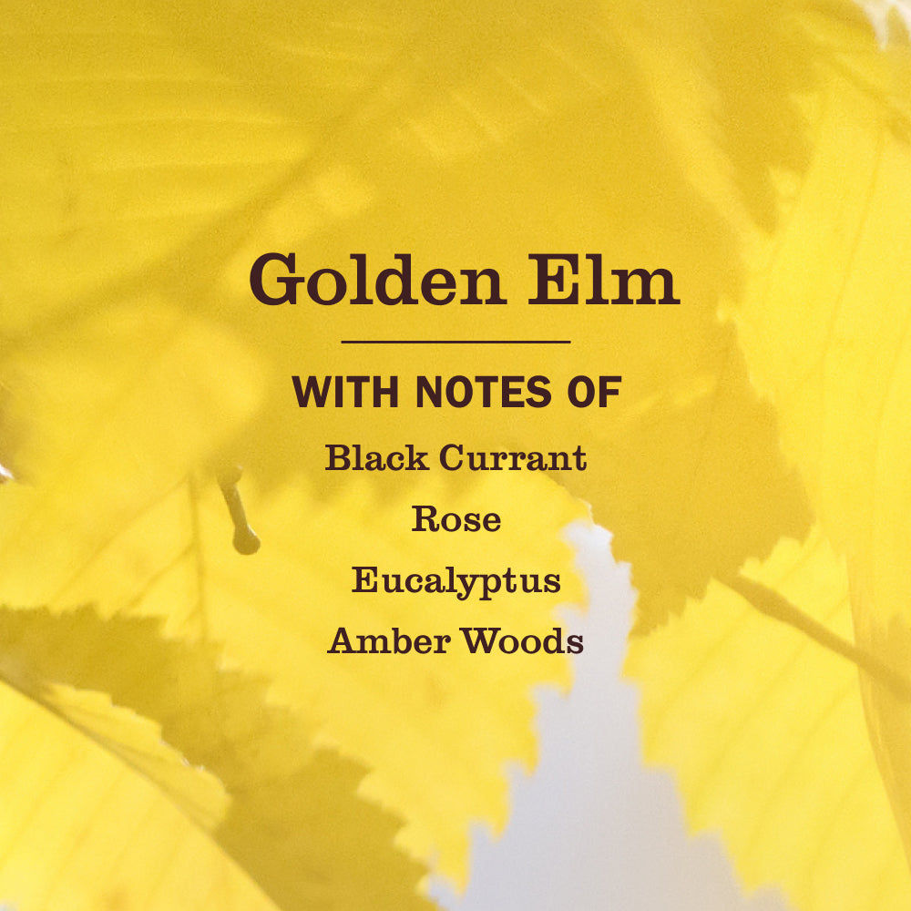 Mrs. Meyer's Golden Elm Liquid Hand Soap Home Essential