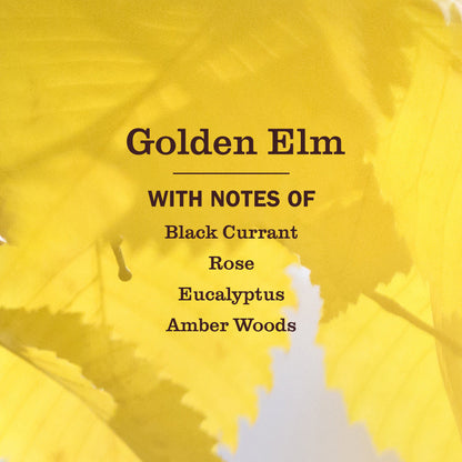 Mrs. Meyer's Golden Elm Liquid Hand Soap Home Essential