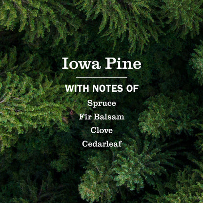 Mrs. Meyer's Iowa Pine Plug-In Scented Oil Refill 2-Pack Home Essential