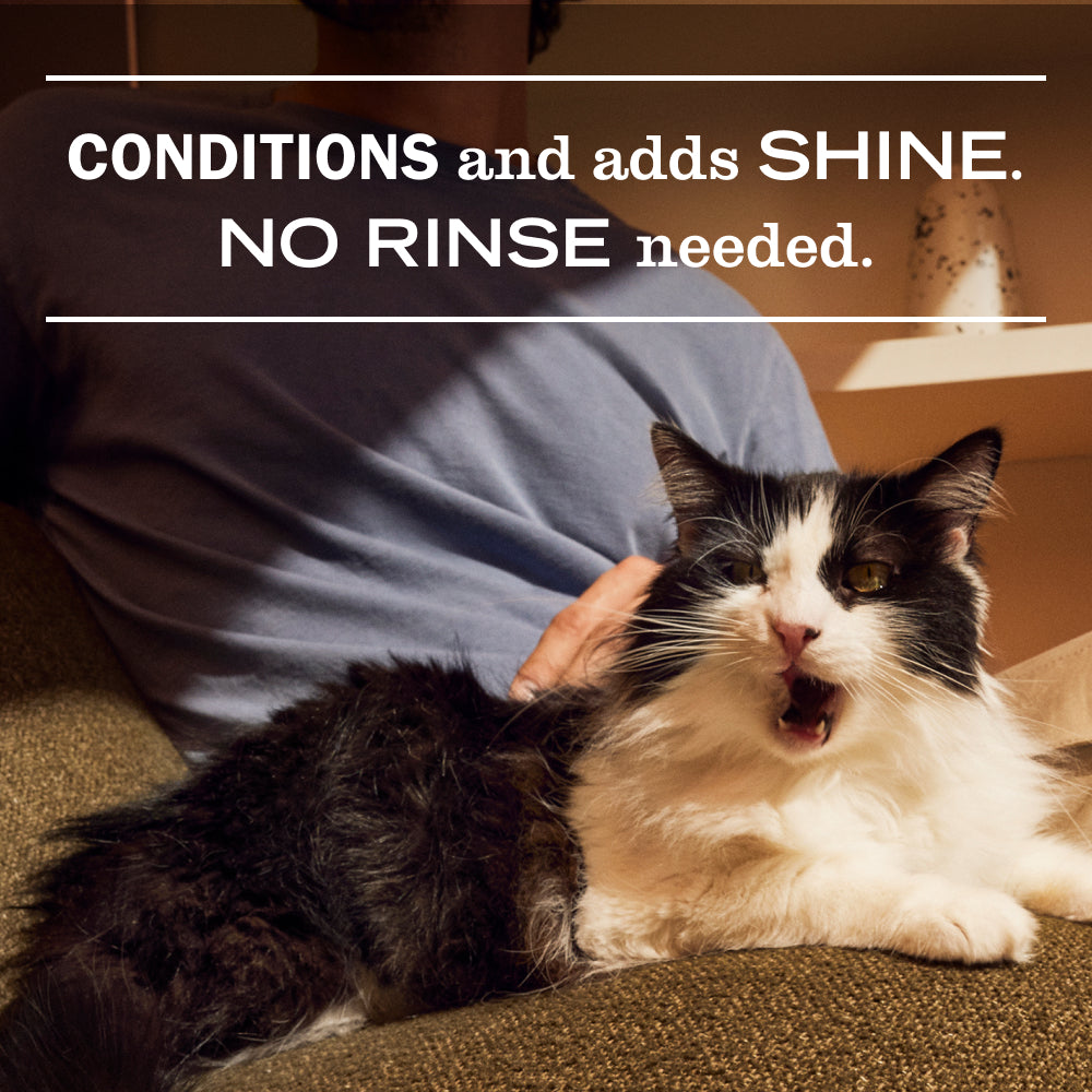 Mrs. Meyer's Cat Care Set Gift-Ready