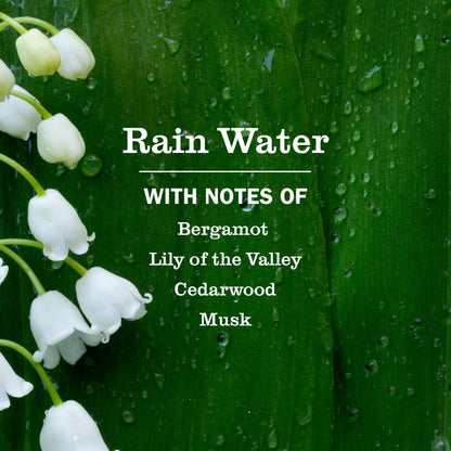 Mrs. Meyer's Rain Water Plug-In Scented Oil Refill 4-Pack Home Essential