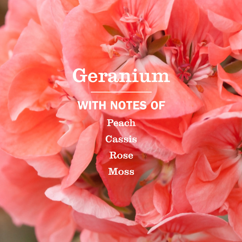 Mrs. Meyer's Geranium Everyday Multi-Surface Cleaner