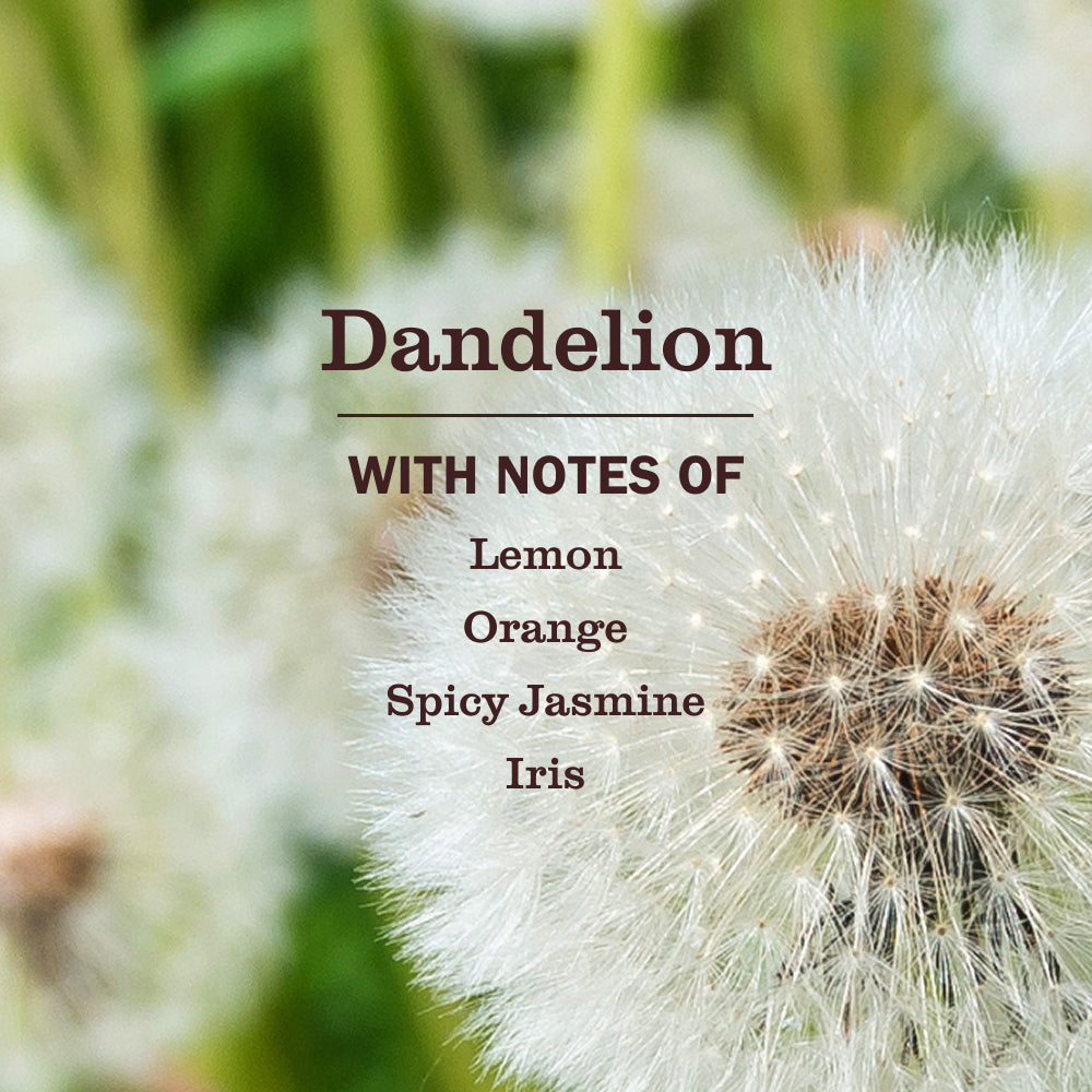 Mrs. Meyer's Dandelion Everyday Multi-Surface Cleaner