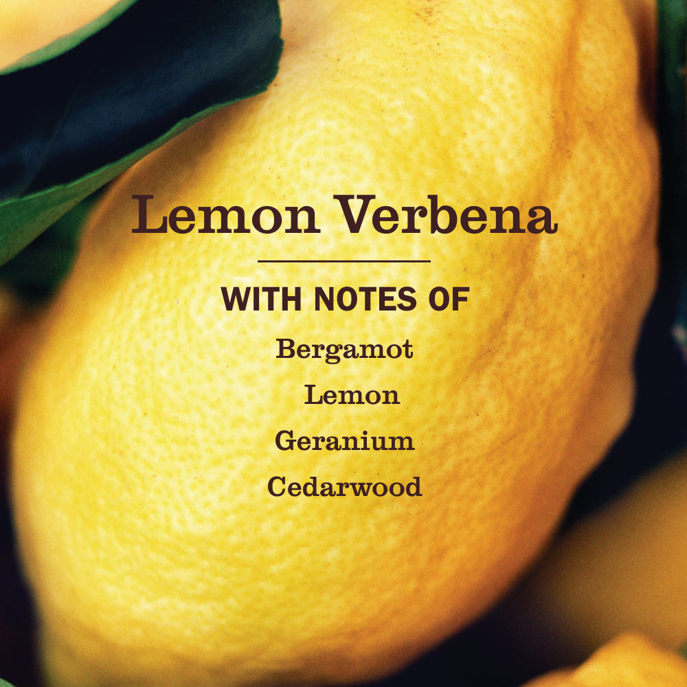 Mrs. Meyer's Lemon Verbena Everyday Multi-Surface Cleaner