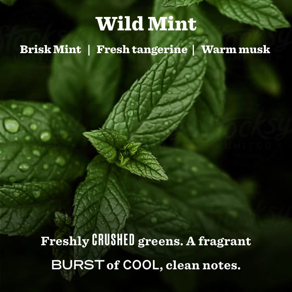 Mrs. Meyer's Wild Mint Garden Heirloom Candle Home Essential