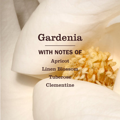 Mrs. Meyer's Gardenia Liquid Hand Soap Home Essential