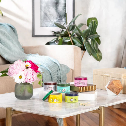 Mrs. Meyer's Rain Water Scented Tin Candle