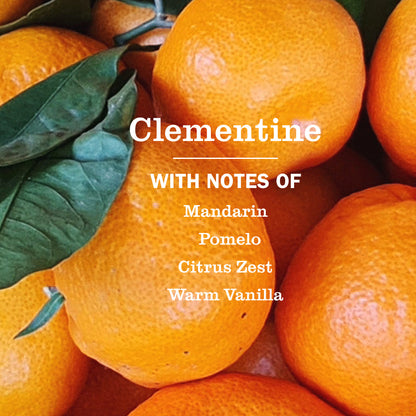 Mrs. Meyer's Clementine Liquid Hand Soap Home Essential