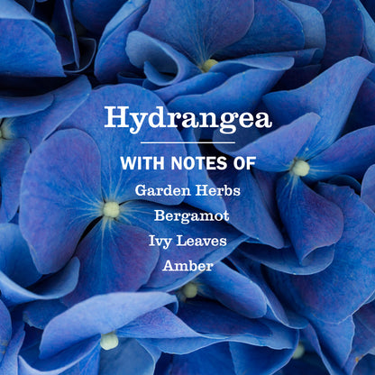Mrs. Meyer's Hydrangea Liquid Hand Soap Home Essential