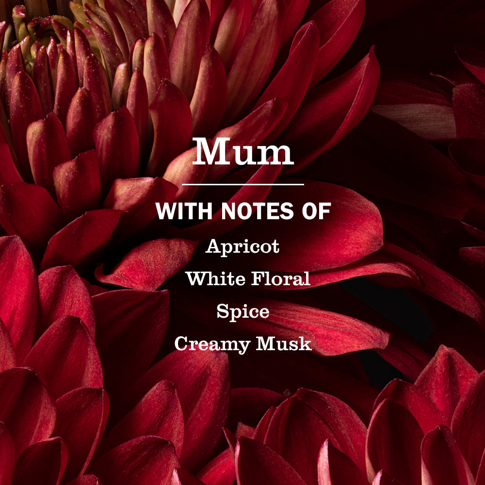 Mrs. Meyer's Mum Room Freshener Spray