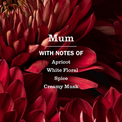 Mrs. Meyer's Mum Room Freshener Spray