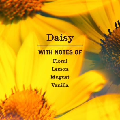Mrs. Meyer's Daisy Liquid Dish Soap