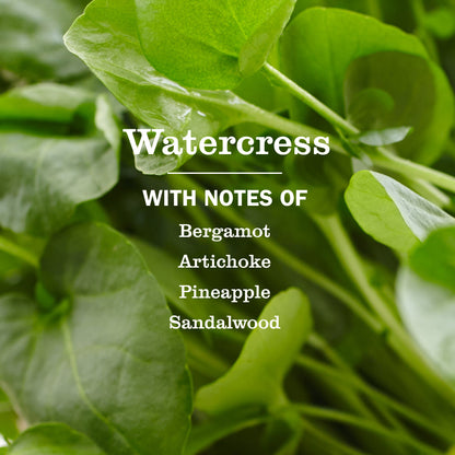 Mrs. Meyer's Watercress Liquid Hand Soap Home Essential
