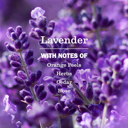 Mrs. Meyer's Lavender Dish Soap Refill Home Essential