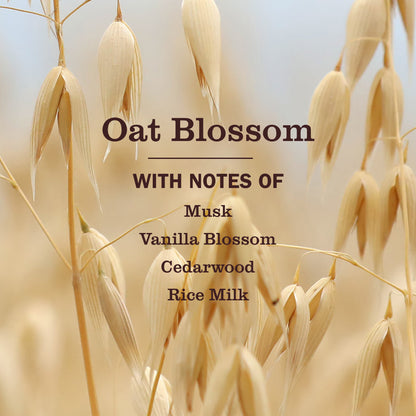Mrs. Meyer's Oat Blossom Liquid Hand Soap Home Essential