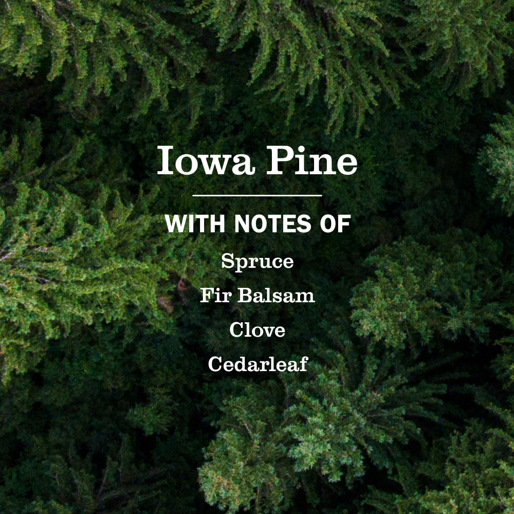 Mrs. Meyer's Iowa Pine Liquid Hand Soap & Refill Set Gift-Ready