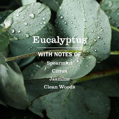 Mrs. Meyer's Eucalyptus Liquid Hand Soap Home Essential