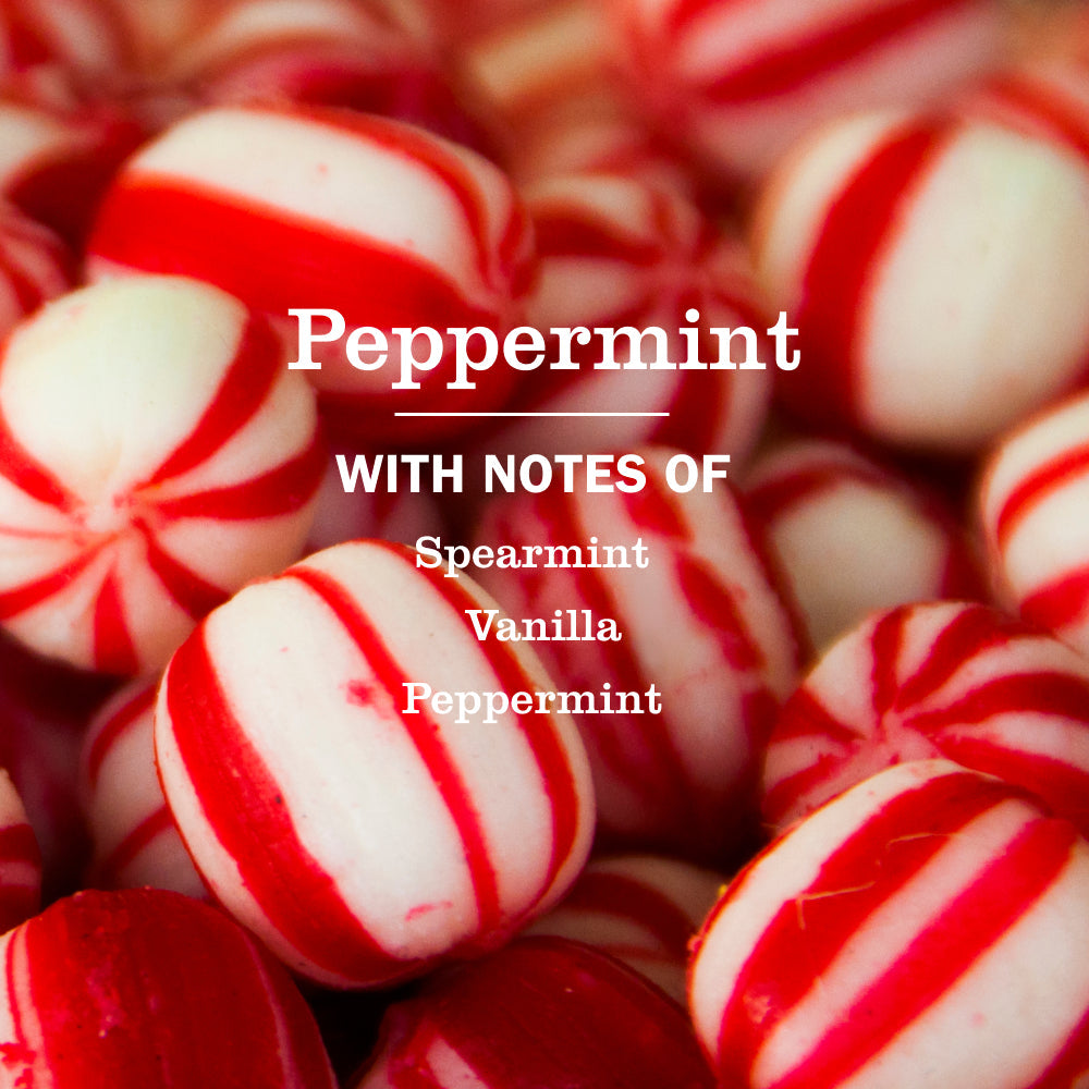 Mrs. Meyer's Peppermint Liquid Hand Soap Home Essential