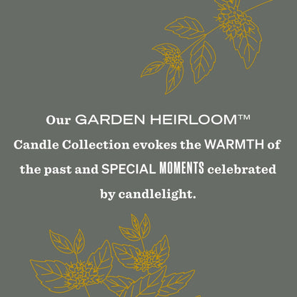 Mrs. Meyer's Wild Mint Garden Heirloom Candle Home Essential