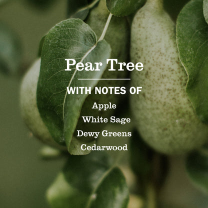 Mrs. Meyer's Pear Tree Room Freshener Spray