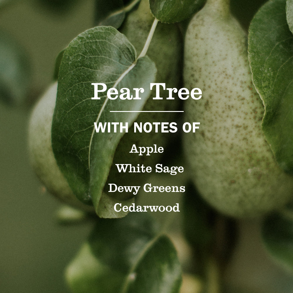 Mrs. Meyer's Pear Tree Everyday Multi-Surface Cleaner