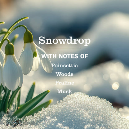 Mrs. Meyer's Snowdrop Liquid Dish Soap