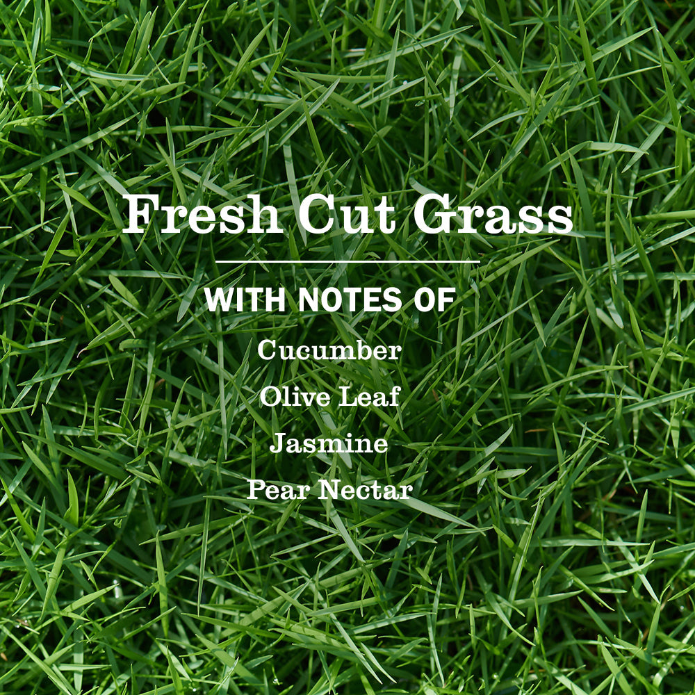 Mrs. Meyer's Fresh Cut Grass Everyday Multi-Surface Cleaner