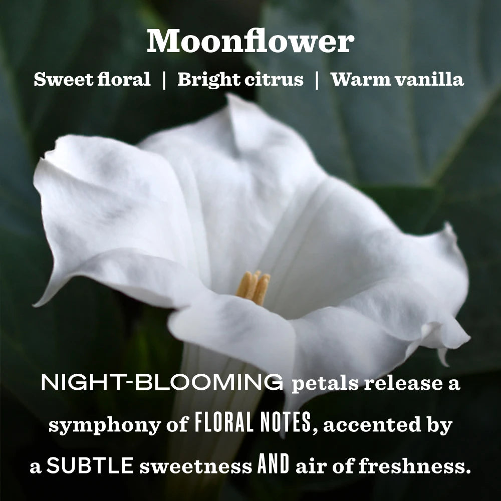Mrs. Meyer's Moonflower Garden Heirloom Candle Home Essential