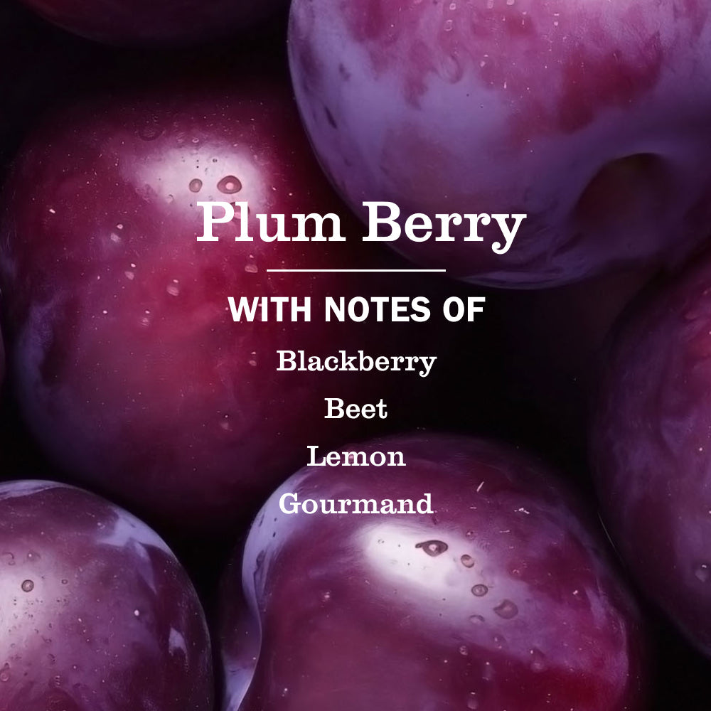 Mrs. Meyer's Plum Berry Liquid Hand Soap Home Essential