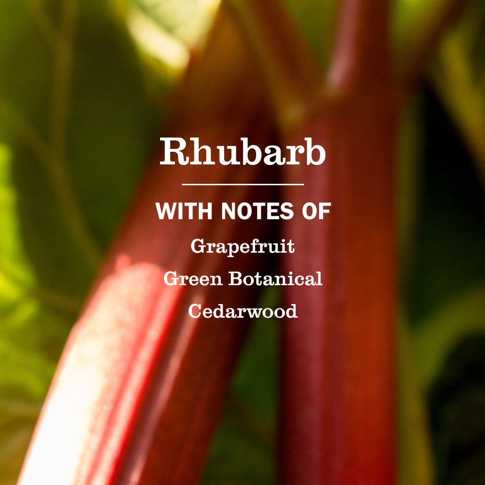 Mrs. Meyer's Rhubarb Liquid Hand Soap Home Essential