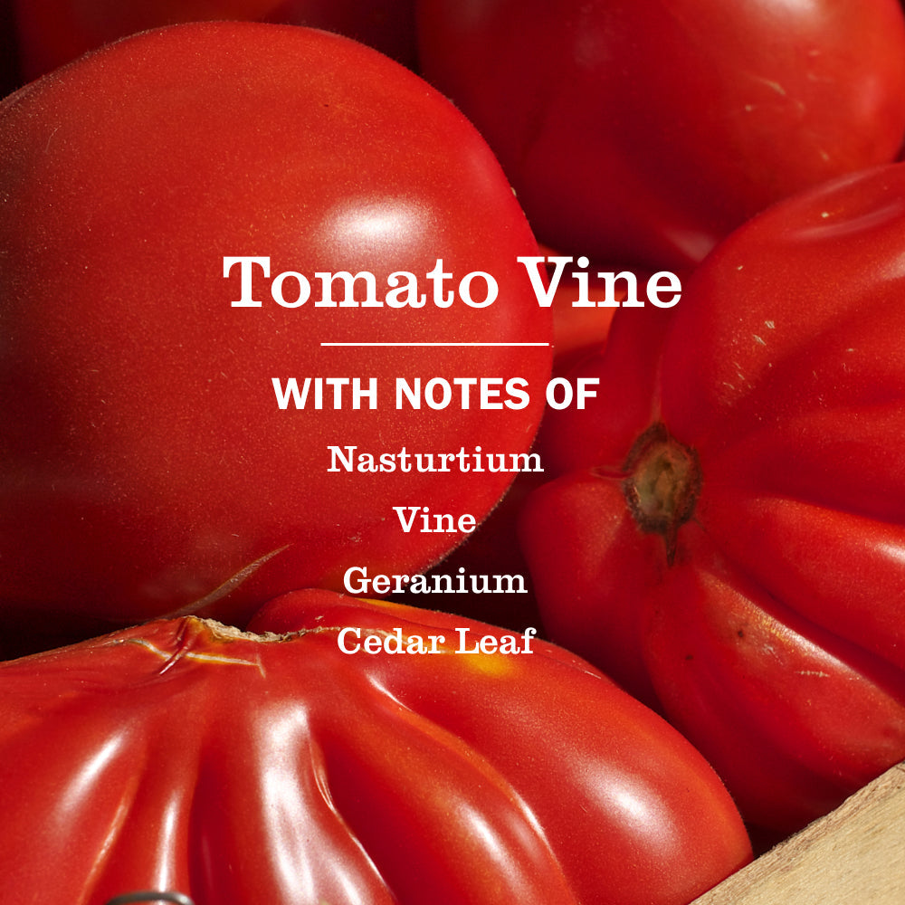 Mrs. Meyer's Tomato Vine Everyday Multi-Surface Cleaner